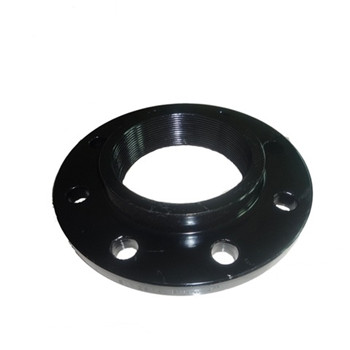 Sanitary Fitting Stub End Flange Pipa Stainless Steel 