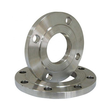 ASTM A182 / F304 / 304L Stainless Steel Ditempa Flange 