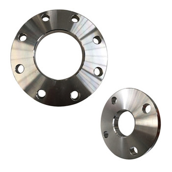 10 Inch High Quanlity A182 Ss Sw Flange dengan Raised Face 