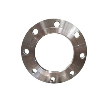 Profesional 304/316 Plat Cincin Baja Kekuatan Tinggi Stainless Steel Round Flange 