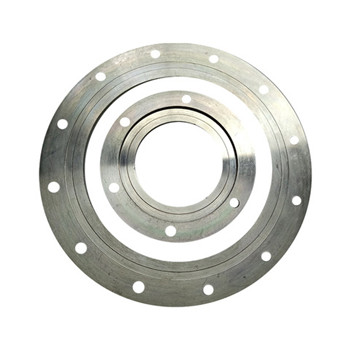 ASTM A182 / F304 / 304L Stainless Steel Ditempa Flange 