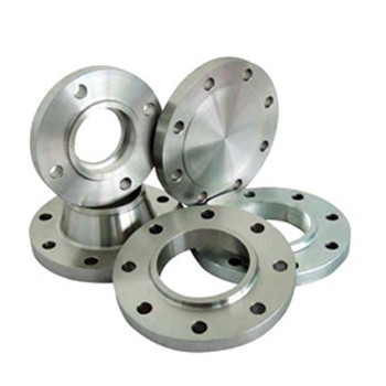 Casting A304 Stainless Steel Flange 