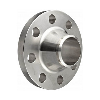 316 / 316L Pipa Stainless Steel Blind Flange Cdfl057 