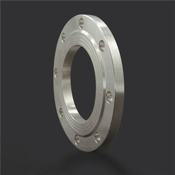 Stainless Steel Cast Welding Forged Carbon Steel Plate FF Blind Flange 