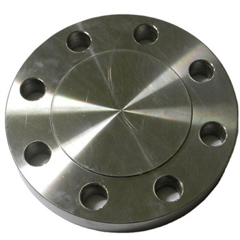 ASTM A182 F304 / 304L Stainless Steel Blind Flange Cdfl356 