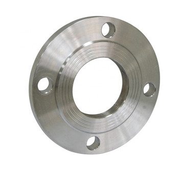 Ss Stainless Steel Pipe Fitting Forged Welding Neck Flange Produsen 
