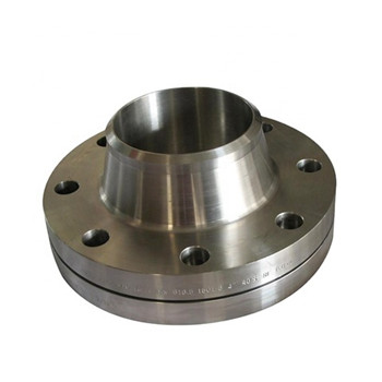 Stainless Steel Forged Casting Slip-on Flange Pipa 