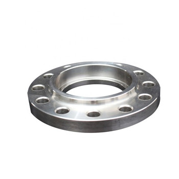 ASTM A182 F316L Stainless Steel Weld Neck Flange 