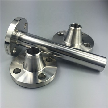316 / 316L Pipa Stainless Steel Blind Flange Cdfl057 