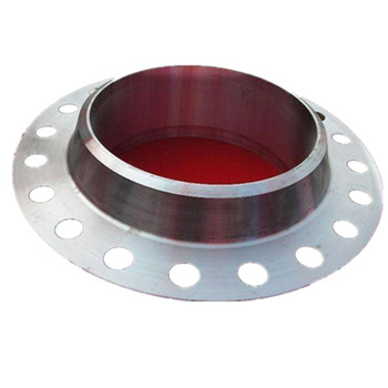 ASTM A182 F304L F316L Stainless Steel Inox Casting Flange Ditempa 